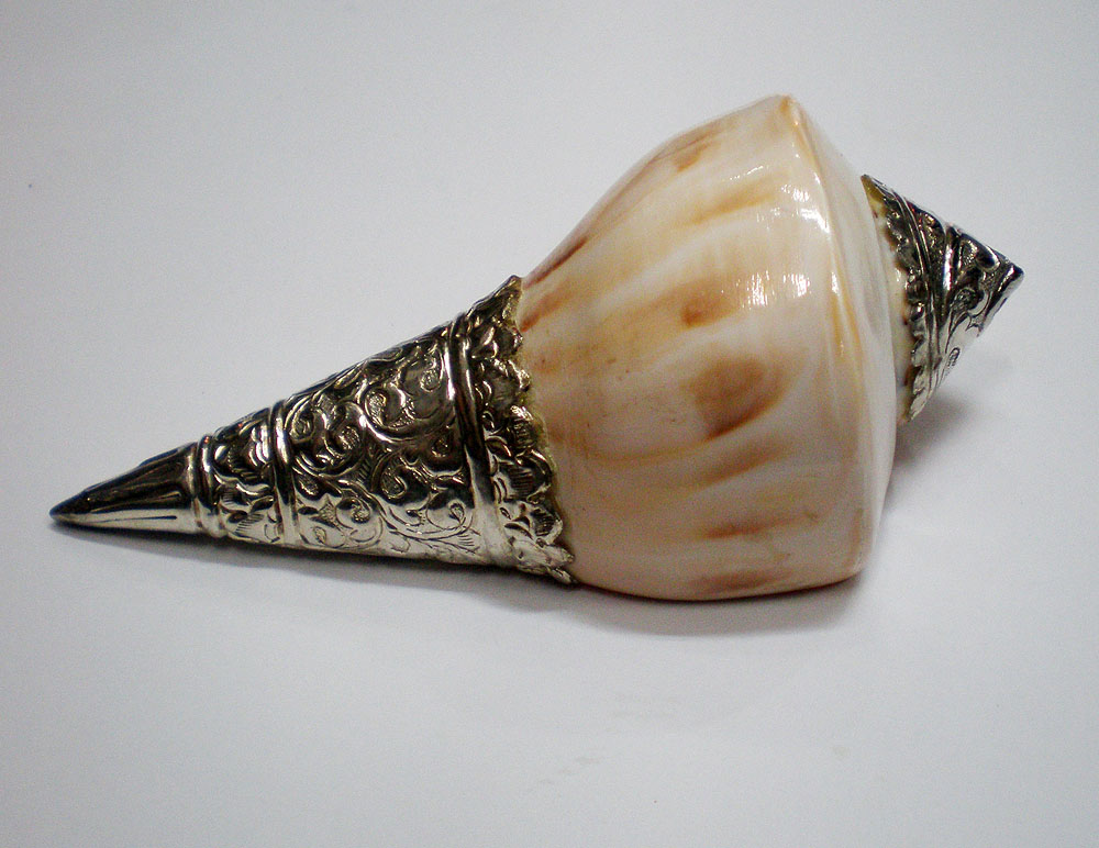 Lakshmi Bathing Conch Shell